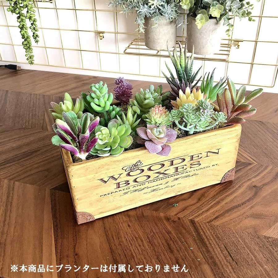 人工多肉植物 フェイクグリーン プレミアム 18個セット 鉢植え リアル 装飾用 フェイク植物 人工アロエサボテン 多肉植物 茎 フェイク多肉植物  送料無料 |  | 01