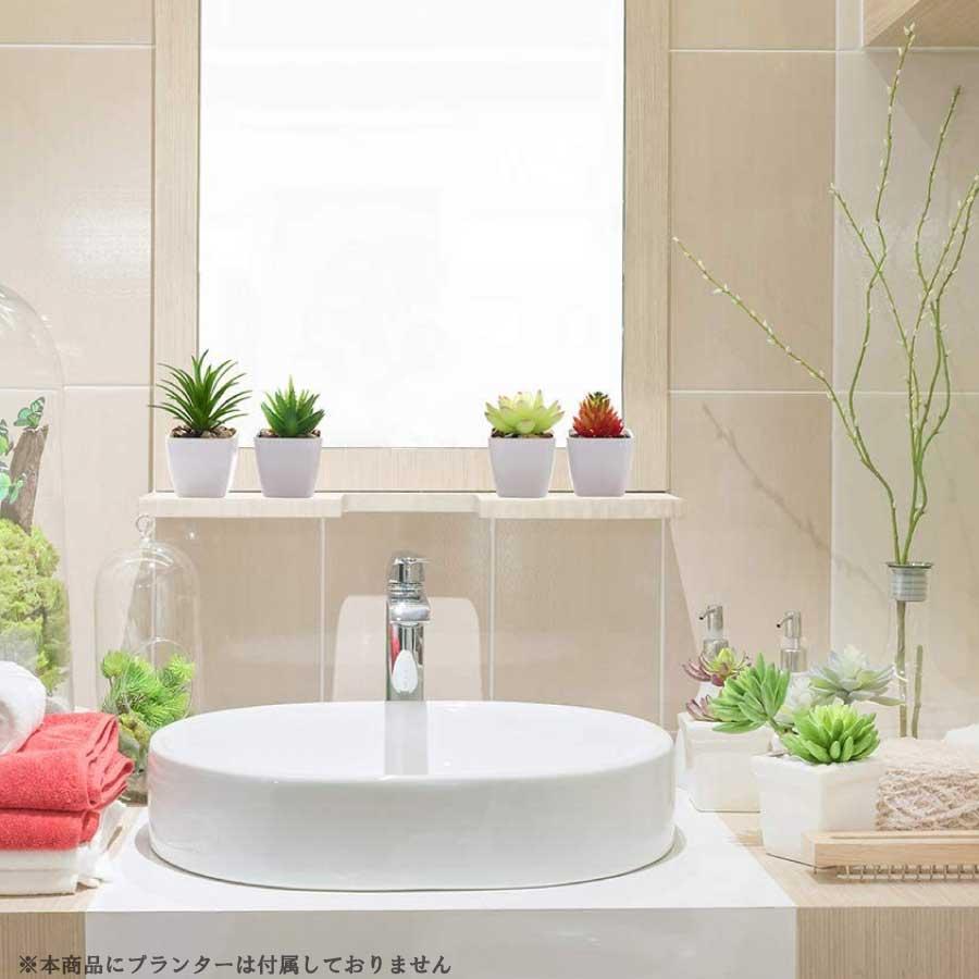 人工多肉植物 フェイクグリーン プレミアム 18個セット 鉢植え リアル 装飾用 フェイク植物 人工アロエサボテン 多肉植物 茎 フェイク多肉植物  送料無料 |  | 06