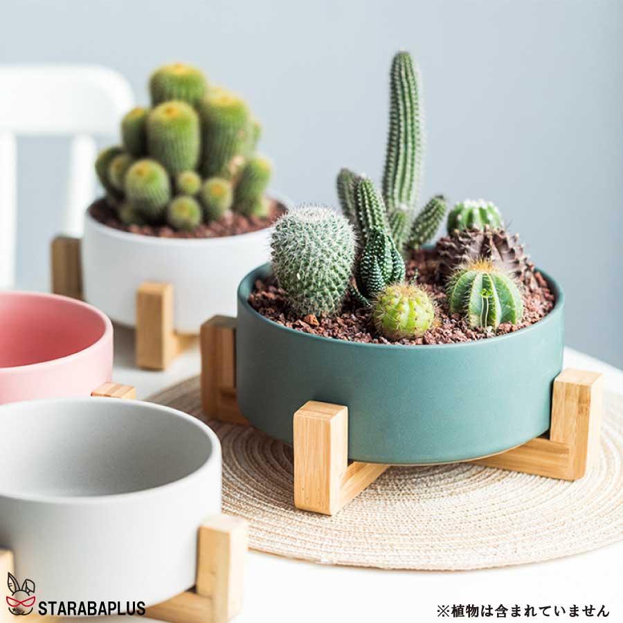 寄せ植え 植木鉢 プランタ 鉢 多肉植物鉢 サボテン鉢 竹トレー付き ハーブ セラミックス 陶器鉢 ポット 小型植物適用 オフィス 園芸 ガーデン 送料無料 |  | 13