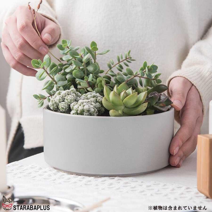 寄せ植え 植木鉢 プランタ 鉢 多肉植物鉢 サボテン鉢 竹トレー付き ハーブ セラミックス 陶器鉢 ポット 小型植物適用 オフィス 園芸 ガーデン 送料無料 |  | 06