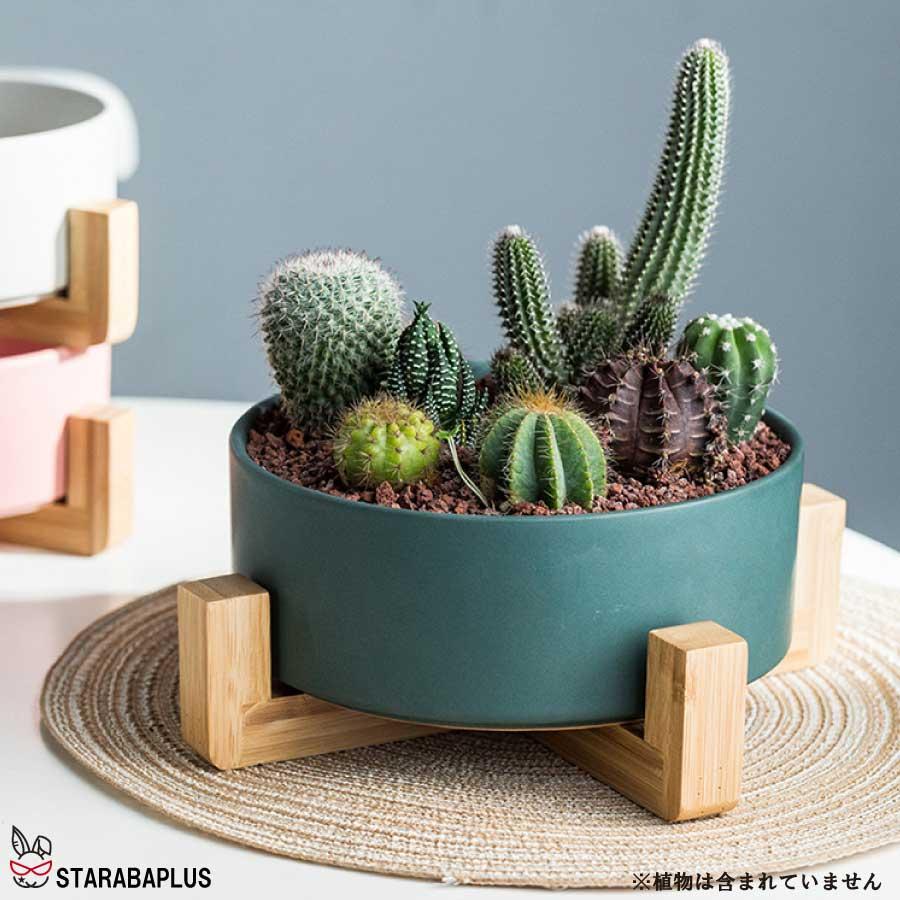 寄せ植え 植木鉢 プランタ 鉢 多肉植物鉢 サボテン鉢 竹トレー付き ハーブ セラミックス 陶器鉢 ポット 小型植物適用 オフィス 園芸 ガーデン 送料無料 |  | 10