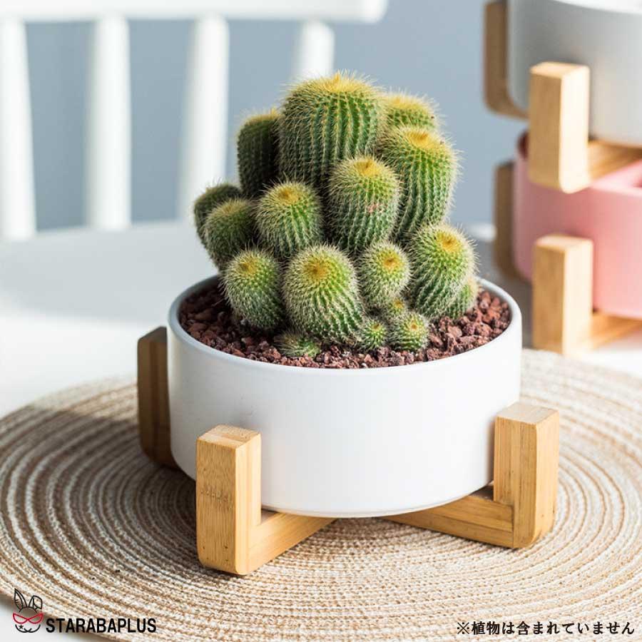 寄せ植え 植木鉢 プランタ 鉢 多肉植物鉢 サボテン鉢 竹トレー付き ハーブ セラミックス 陶器鉢 ポット 小型植物適用 オフィス 園芸 ガーデン 送料無料 |  | 11