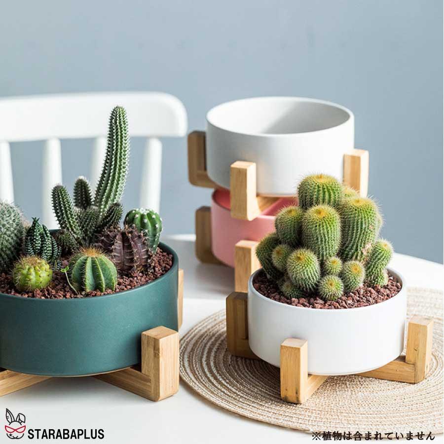 寄せ植え 植木鉢 プランタ 鉢 多肉植物鉢 サボテン鉢 竹トレー付き ハーブ セラミックス 陶器鉢 ポット 小型植物適用 オフィス 園芸 ガーデン 送料無料 |  | 12