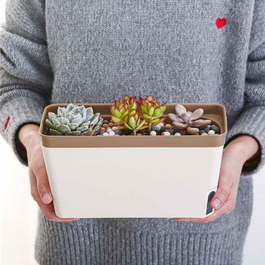 プランター 27cm 植木鉢 給水鉢 底面給水 スリット鉢 ハーブ 多肉植物鉢 オフィス 園芸 ガーデン 送料無料 |  | 04