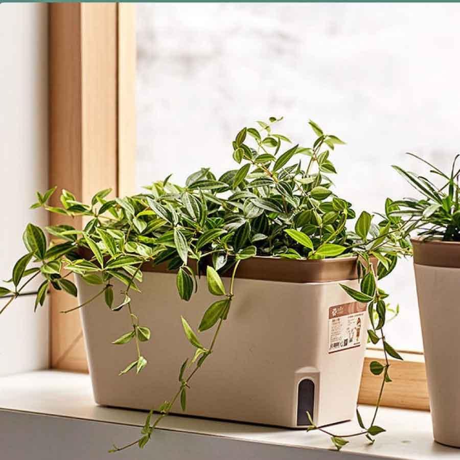 プランター 27cm 植木鉢 給水鉢 底面給水 スリット鉢 ハーブ 多肉植物鉢 オフィス 園芸 ガーデン 送料無料 |  | 05