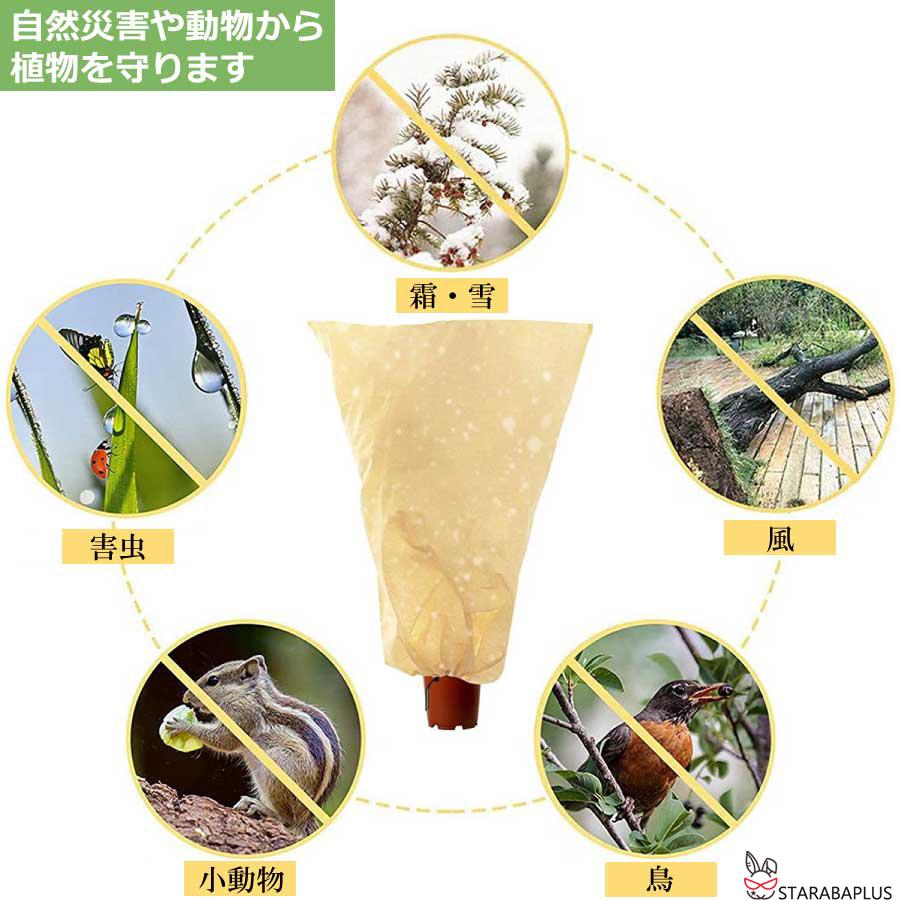 植物 保護カバー 防寒 植物保温 不織布 紐付き 通気性 防霜 防風 鉢植え 保護 冬用防寒対策 室内室外 園芸用品 害虫 鳥防止 園芸 家庭菜園 メール便 送料無料 |  | 01