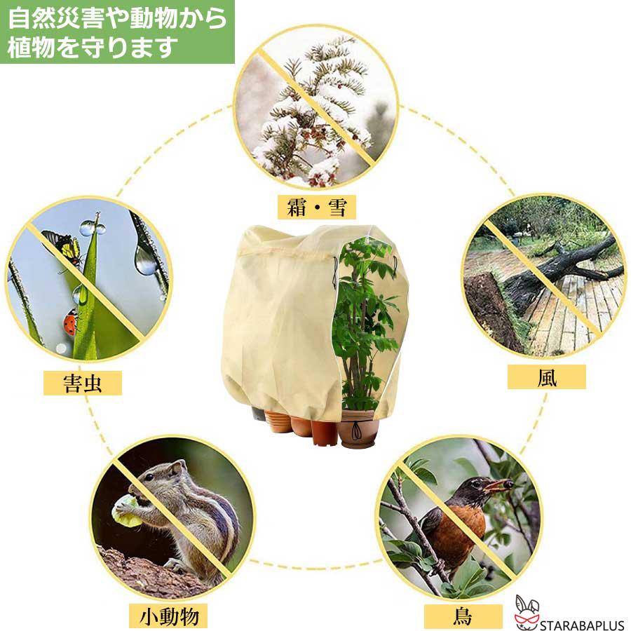植物 保護カバー 特大 防寒 植物保温 不織布 紐付き 通気性 防霜 防風 鉢植え 保護 冬用防寒対策 室内室外 園芸用品 害虫 鳥防止 園芸 家庭菜園 送料無料 |  | 01