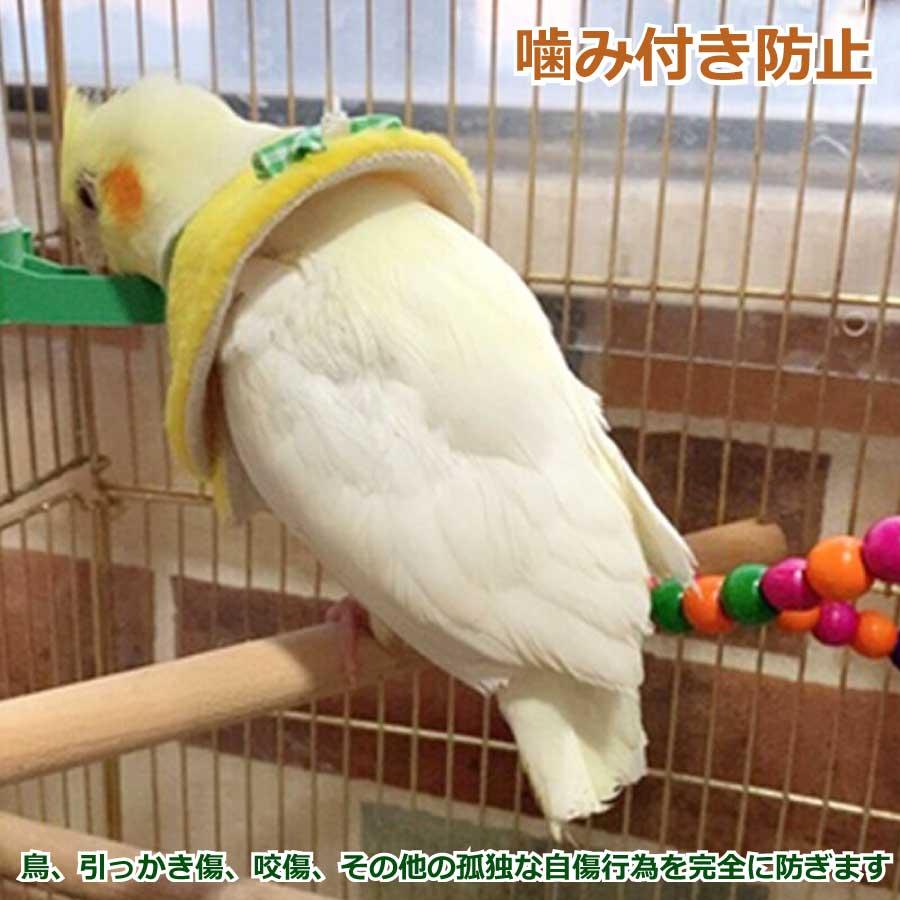 鳥用 エリザベスカラー 鳥類 オウム 調整可能 回復 傷口 防止 噛み防止 軽い バードネックカラー 介護 オウム インコオウム インコ 文鳥 メール便 送料無料 |  | 04