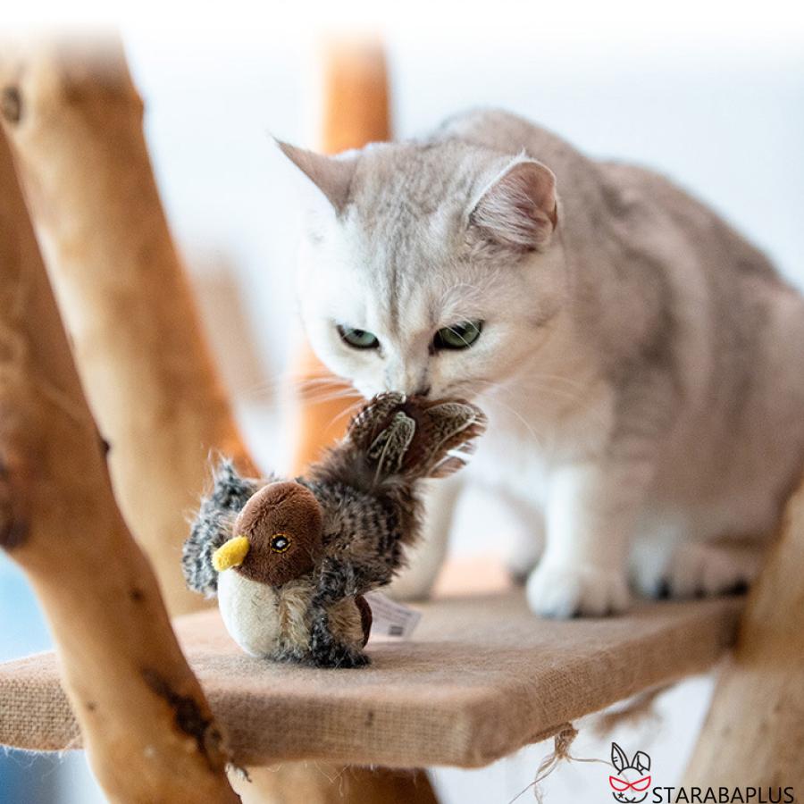 猫 おもちゃ 鳥 鳴く 小鳥 オウム 運動不足 ストレス発散 鳴き声 猫用おもちゃ リアル 遊ぶ 運動不足解消 ネコ 送料無料 |  | 04