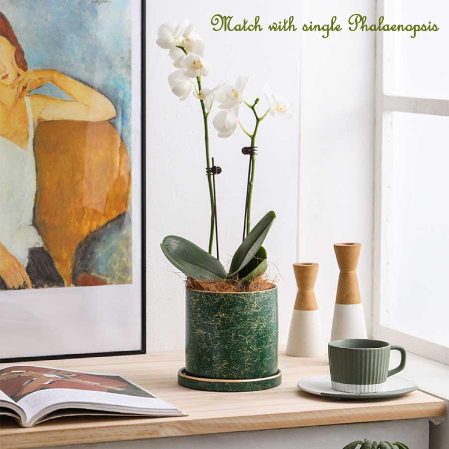 植木鉢 陶器鉢 おしゃれ 鉢植え 11cm ゴールド 円筒形 室内鉢 プランター 受け皿付き 穴あり 観葉植物鉢 蘭 多肉植物 送料無料 |  | 04