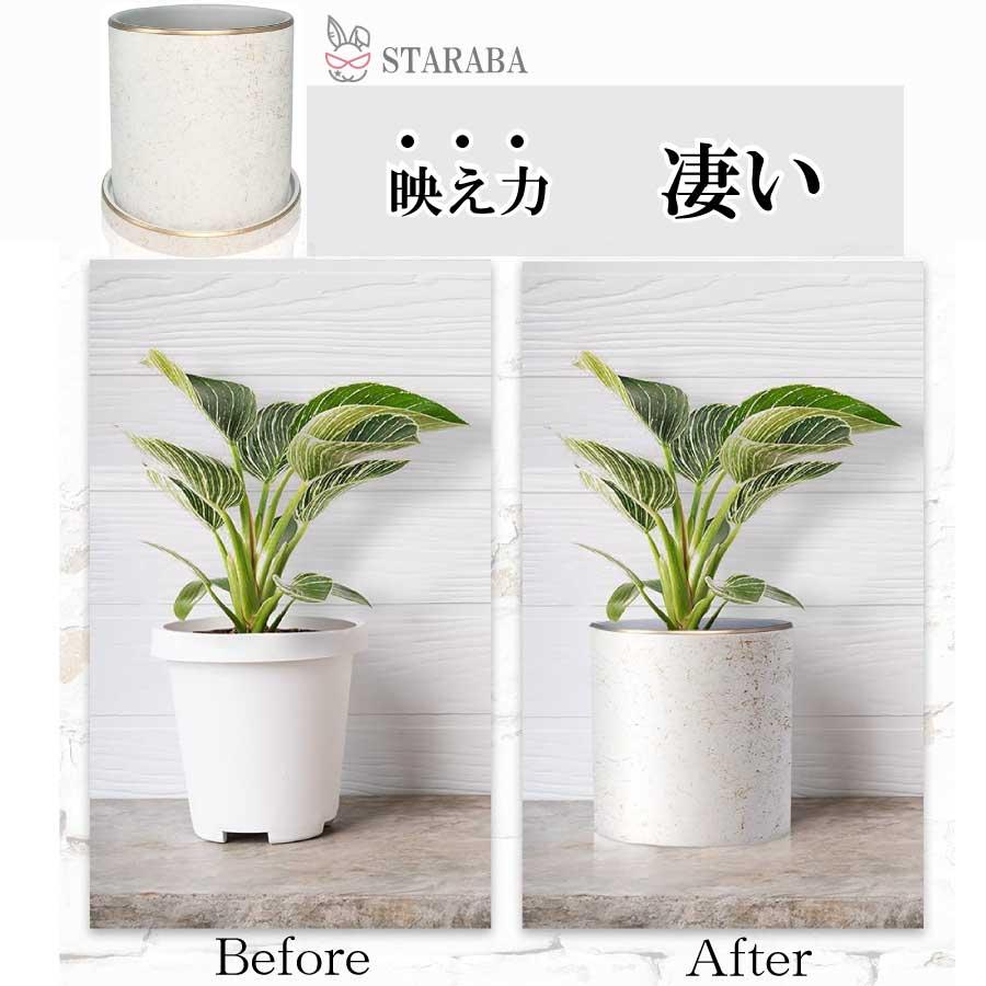 植木鉢 陶器鉢 おしゃれ 鉢植え 11cm ゴールド 円筒形 室内鉢 プランター 受け皿付き 穴あり 観葉植物鉢 蘭 多肉植物 送料無料 |  | 06