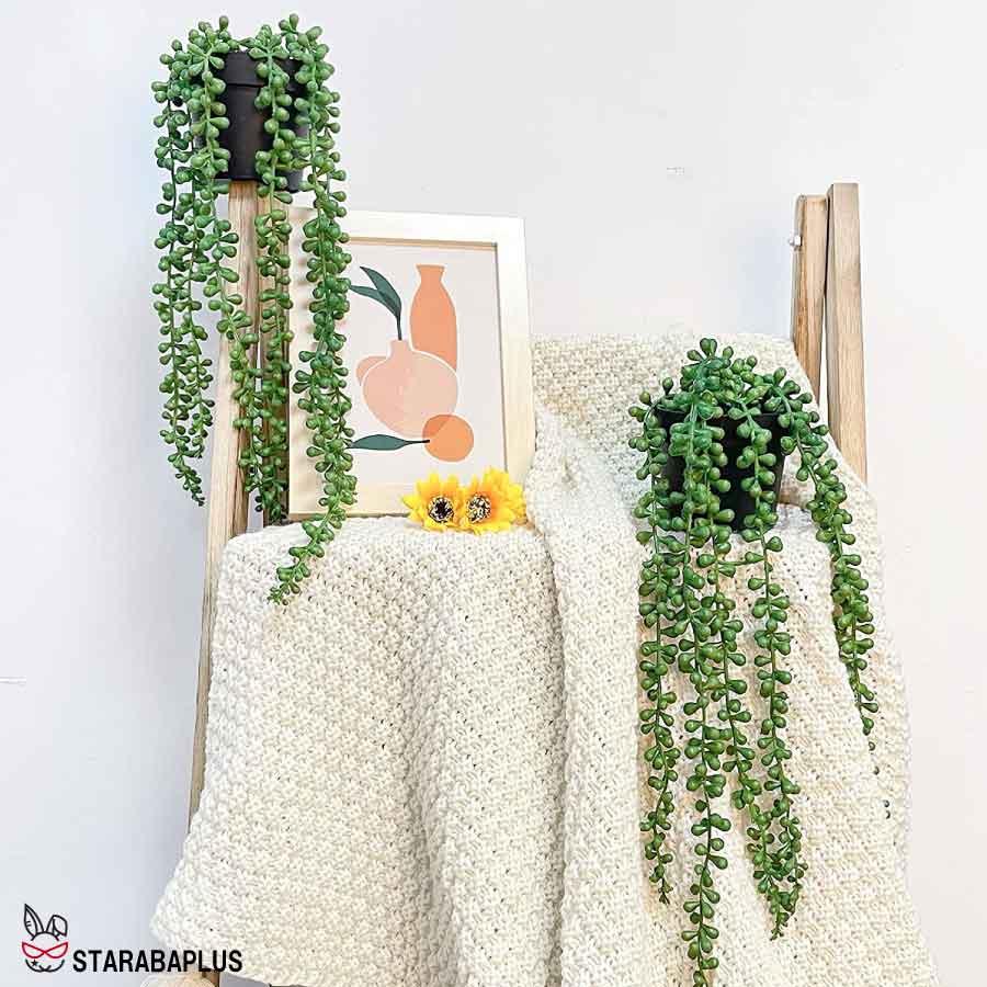 多肉植物 フェイクグリーン 人工 吊り下げ ハンギング植物 グリーンパール ホーム キッチン パーティー DIY ガーデン 母の日 壁 部屋 装飾 送料無料 |  | 01