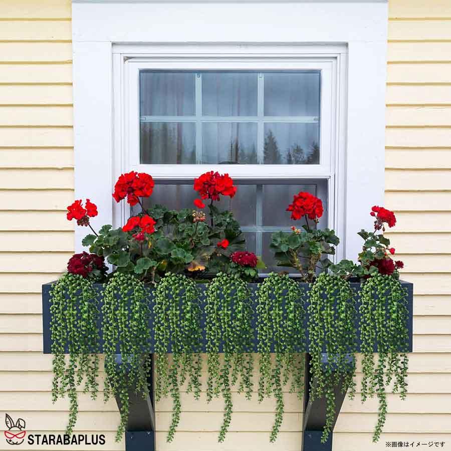 多肉植物 フェイクグリーン 人工 吊り下げ ハンギング植物 グリーンパール ホーム キッチン パーティー DIY ガーデン 母の日 壁 部屋 装飾 送料無料 |  | 04