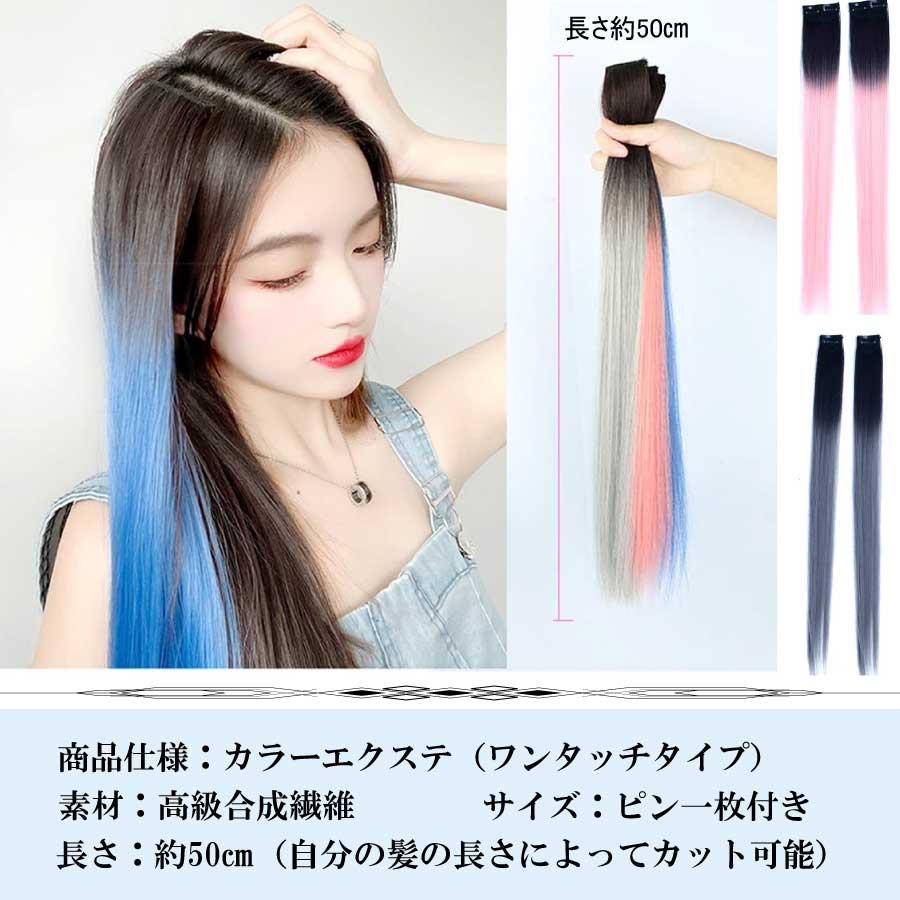 カラーエクステ 2本セット ウィッグ グラデーション インナーカラー ワンタッチ おしゃれ 付け髪 50cm 簡単 使いやすい ポイントウィッグ コスプレ 送料無料 |  | 17
