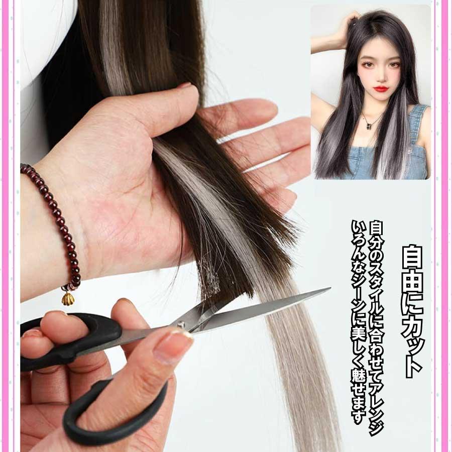 カラーエクステ 2本セット ウィッグ グラデーション インナーカラー ワンタッチ おしゃれ 付け髪 50cm 簡単 使いやすい ポイントウィッグ コスプレ 送料無料 |  | 10