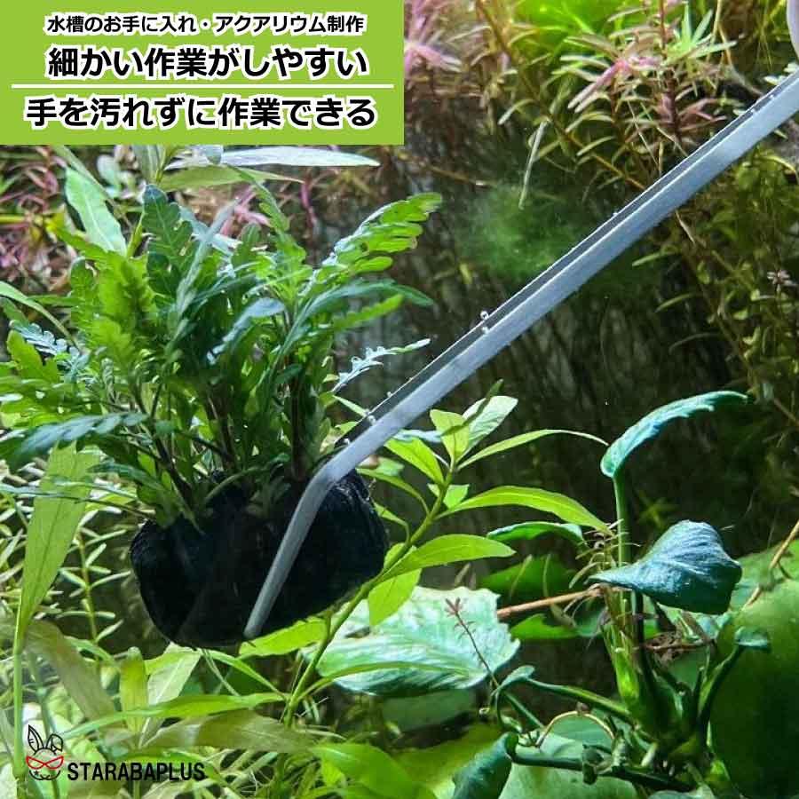 水槽用ピンセット ピンセット 長い ロング 水草トリミング アクアリウム ハーバリウム 爬虫類飼育 水草植栽 ステンレス 滑り止め カーブ 掃除 送料無料 |  | 03