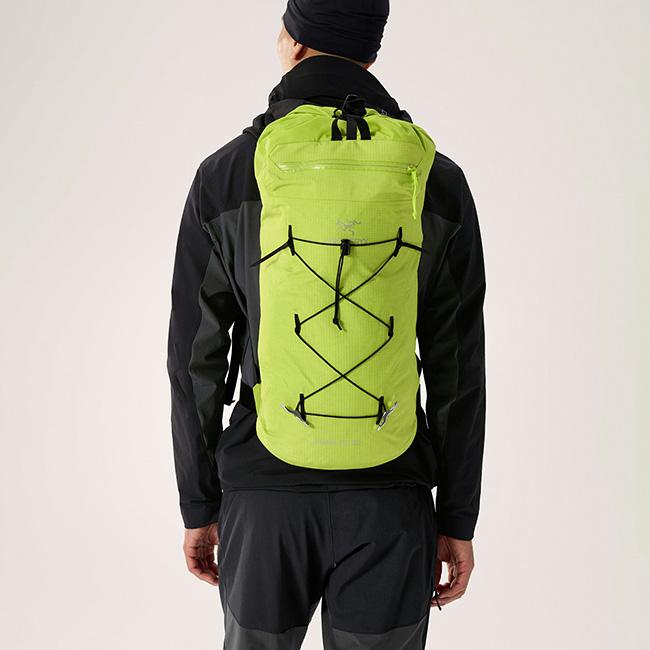 ARC'TERYX（アークテリクス） ARC TERYX アルファFL20バックパック