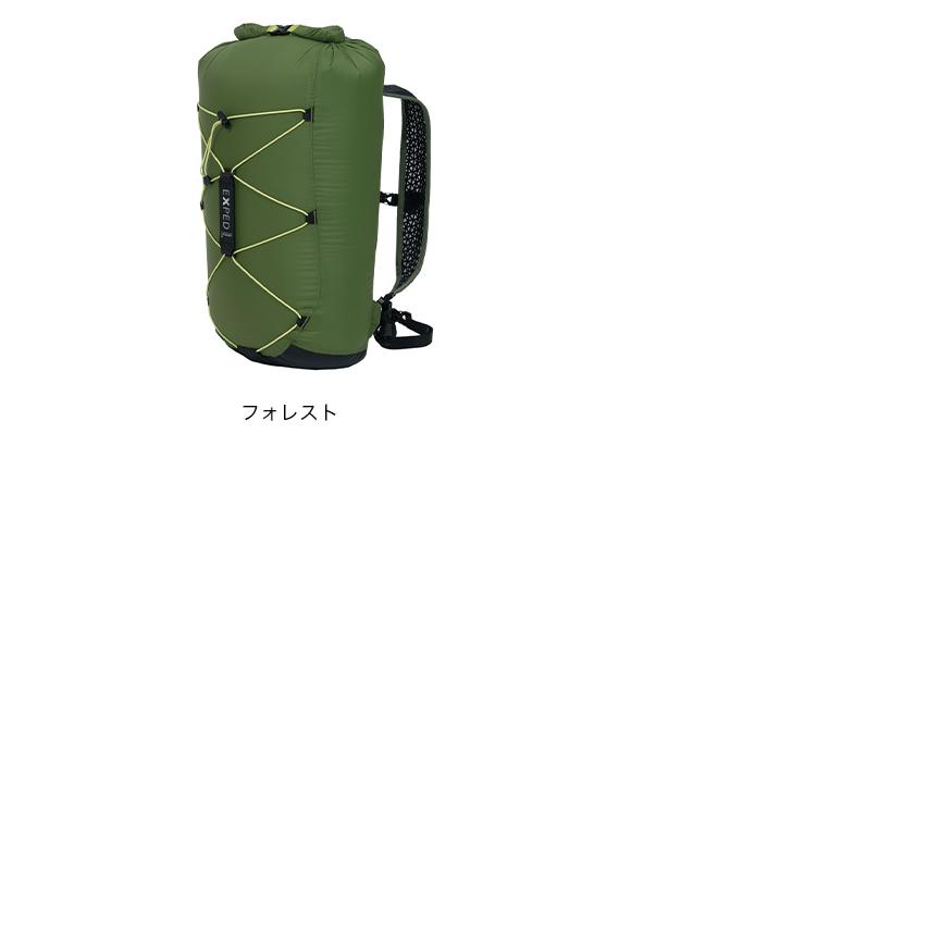 【希少/PSA9】トップサン ドードー 緑背景 greenback BAGGY PORT バギーポート ブオナ 小銭入れ付き二つ折り財布 ZYS-2402
