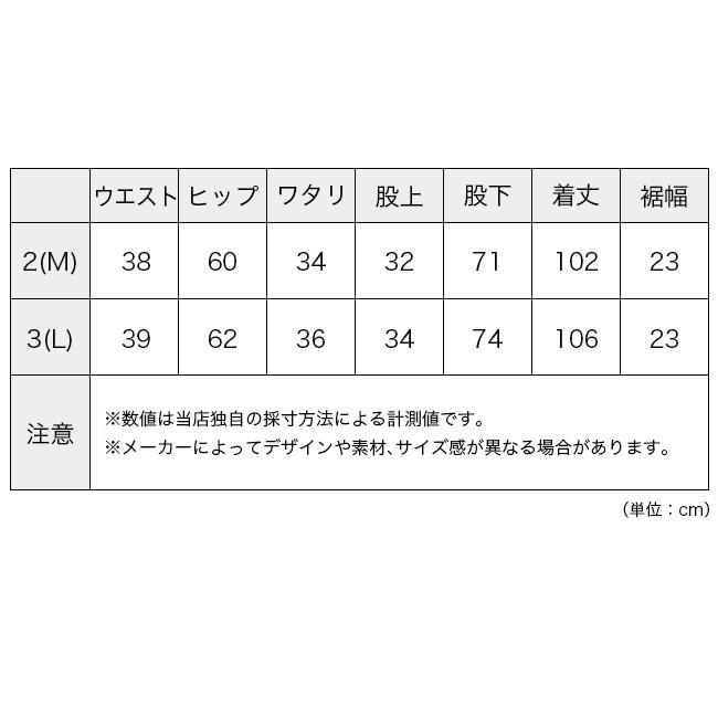 GOLDWIN ゴールドウィン グラミアWFストレートパンツ ユニセックス