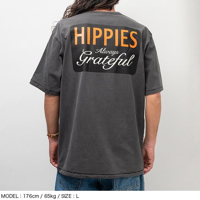 gratefuldays様 Dragon Ash featuring ACO, ZEEBRA | Grateful Days | ビクター