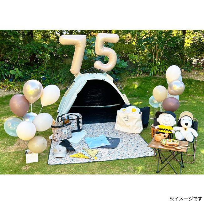 LOGOS（ロゴス） スヌーピー(PEANUTS 75years)7075トレックチェア(背付