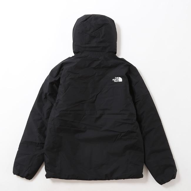 THE NORTH FACE（ザ ノースフェイス） ノースフェイス GTXアクション