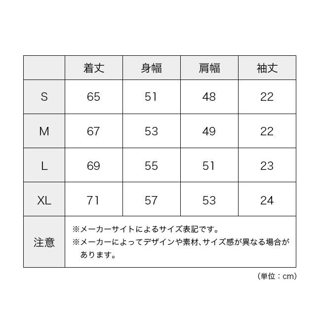 THE NORTH FACE（ザ ノースフェイス） ノースフェイス S/SフリーランES