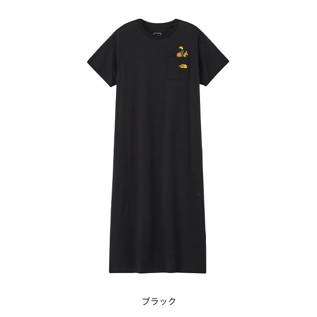 THE NORTH FACE（ザ ノースフェイス） ノースフェイス S/Sフラッシュ