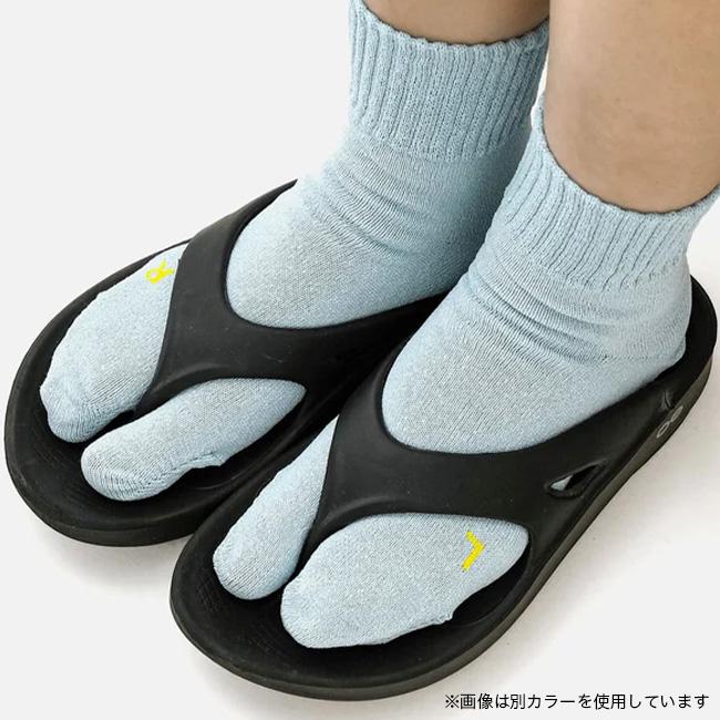足袋で旅 PAPERSKY TOOLS ペーパースカイツールズ トラベルタビソックス ワシ