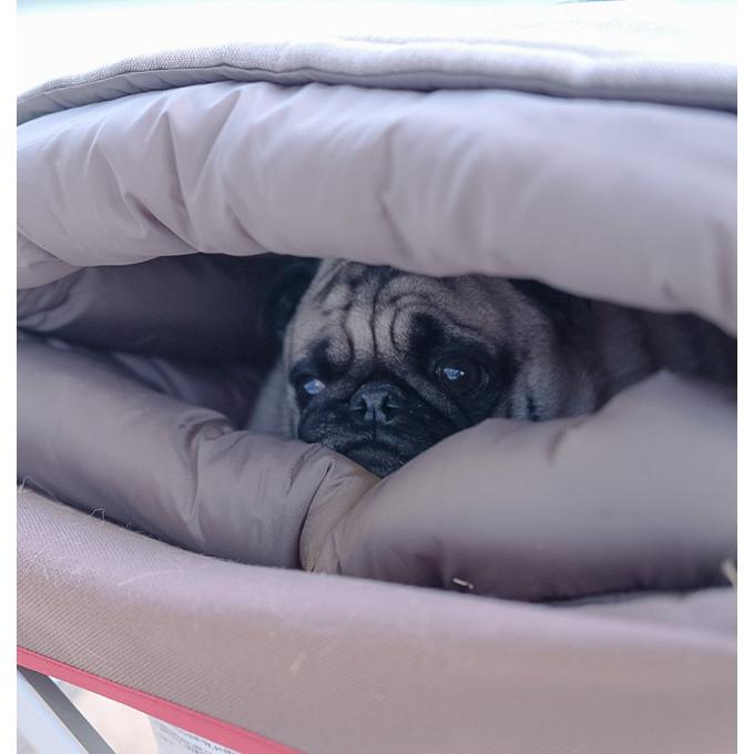 スノーピーク ドッグコット＆オフトンセット スノーピーク ドッグコット＆オフトンセット snow peak