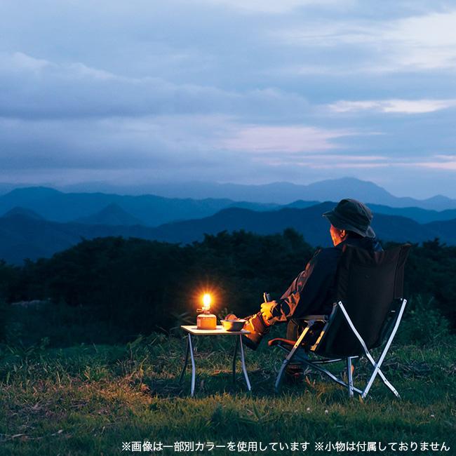 snow peak（スノーピーク） 2025野遊びセット ローチェア30 ペアセット