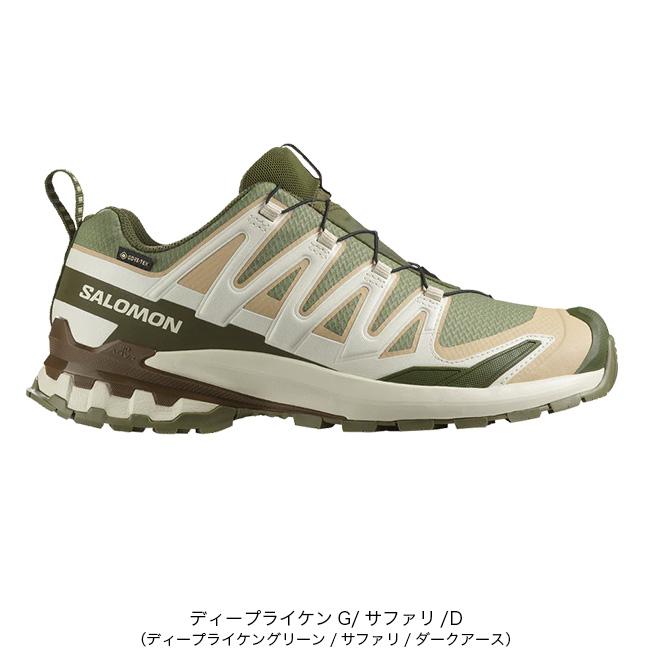 SALOMON（サロモン） XAプロ3DV9 GTX メンズ GORE-TEX 男性用 靴