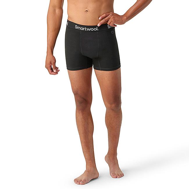 スマートウール Smartwool アクティブボクサーブリーフ メンズ SW61426