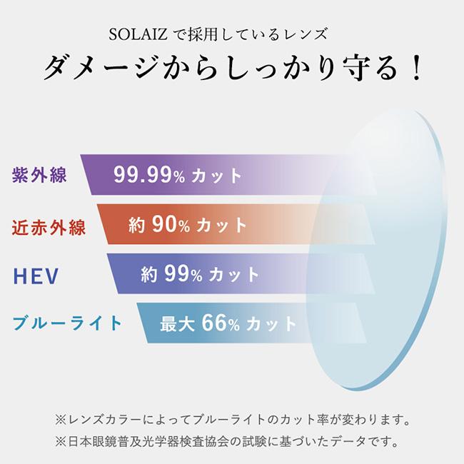 SOLAIZ ソライズ SLD-005 アウトドア偏光レンズの画像