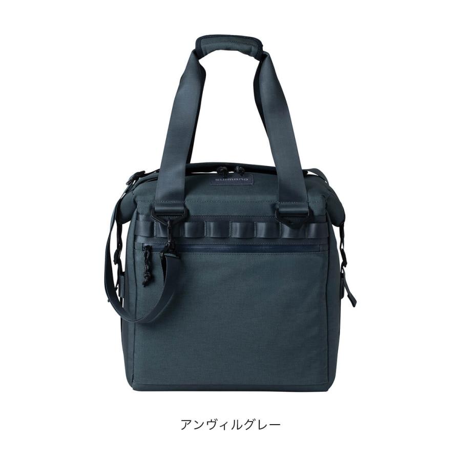 シマノ（SHIMANO） クーラーバッグPRO S BA-001Z Cooler Bag PRO