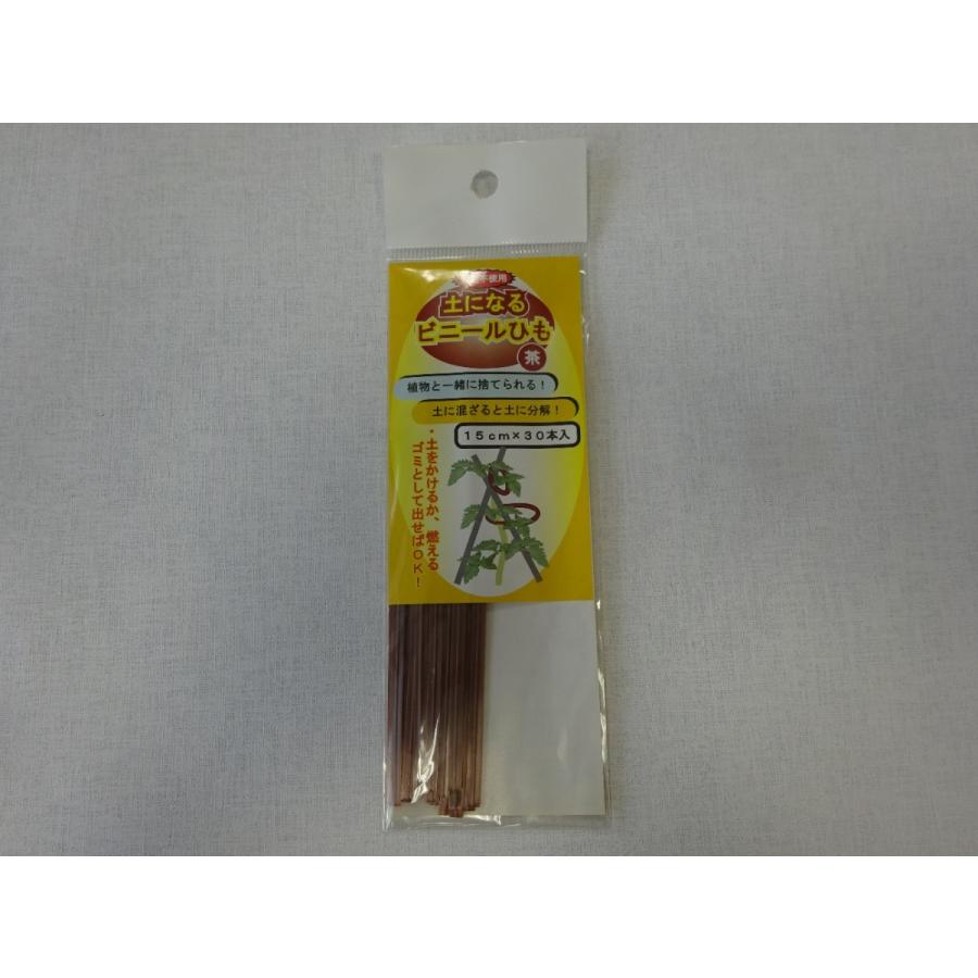 フォレスト 土になるビニールひも 茶 15cm 30本 Sunday S Garden 通販 Yahoo ショッピング