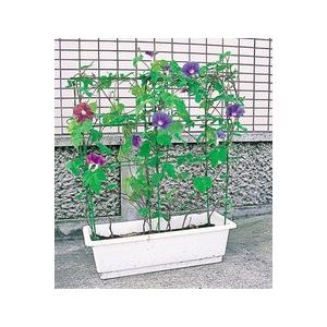 第一ビニール のびーる支柱 プランター用 花のアーケード Sunday S Garden 通販 Yahoo ショッピング