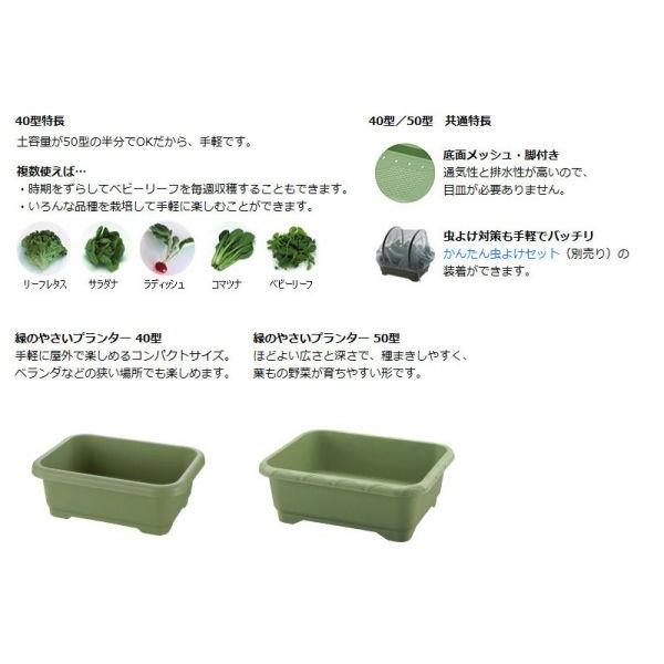 ◎リッチェル　緑のやさいプランター　50型　グリーン（GR)｜sundays-garden｜05