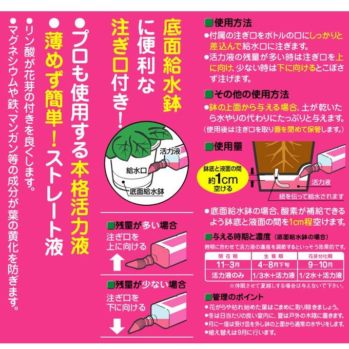 花ごころ シクラメンの底面給水活力液 1000ml Sunday S Garden 通販 Yahoo ショッピング