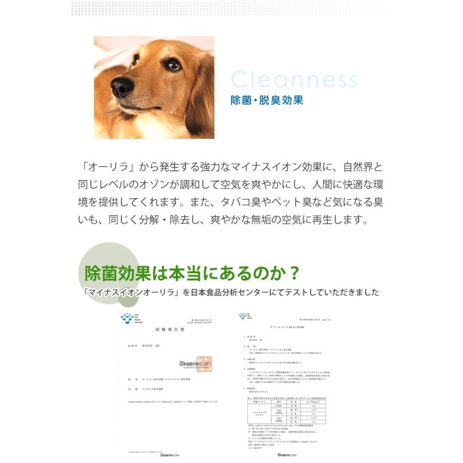 マイナスイオン発生機 イオンメディック オーリラ GSD-208 約50畳 脱臭