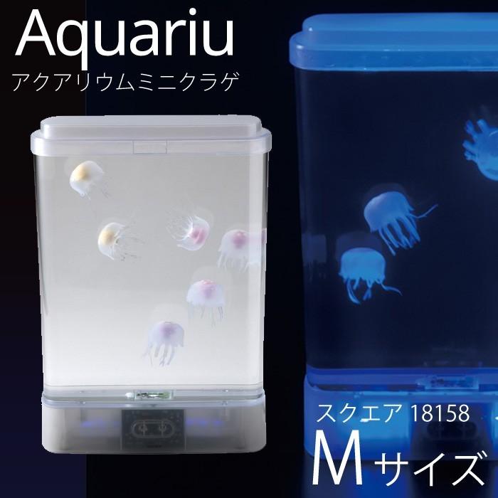 イシグロ アクアリウム ミニクラゲ 18158 スクエアM : fuwalu