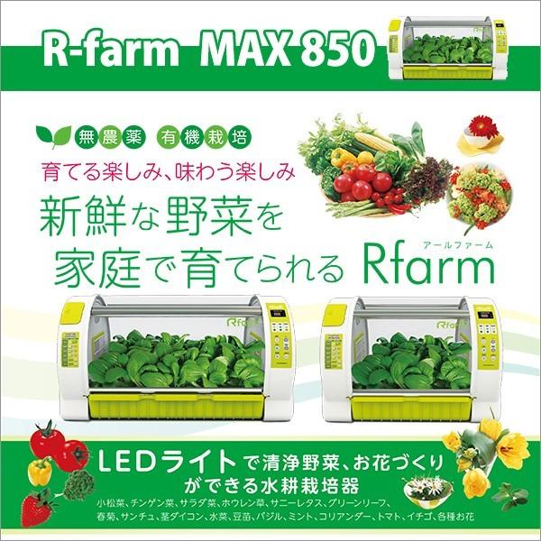 花、ガーデニング 種、種子 栽培キット 72個セット えだまめ栽培セット GD-979 おつまみ栽培 家庭菜園 家庭栽培 枝豆 ベランダ 庭 鉢 土 種 セット
