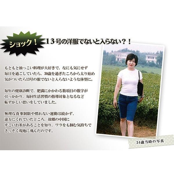 未使用 スワロースキー doti 120cm 飯山市限定モデル 子ども用 SWALLOW