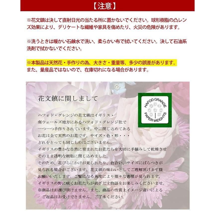 ハフォドグレンジ HafodGrange 花文鎮 フラワーペーパーウエイト L セイヨウタンポポ 蒲公英 鼓草 HG01L 手作り ハンドメイドの画像