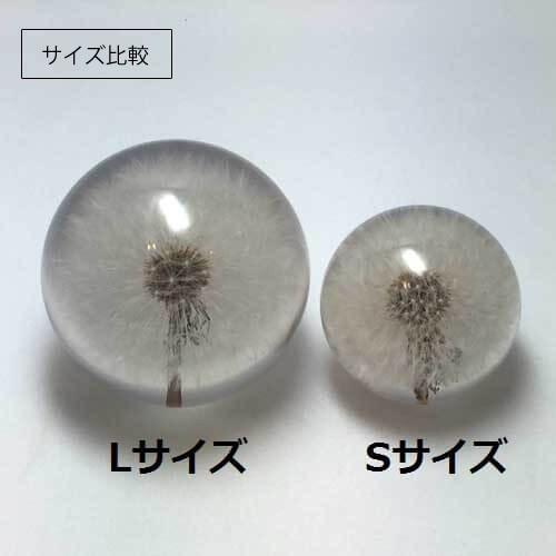 ハフォドグレンジ HafodGrange 花文鎮 フラワーペーパーウエイト ハフォドグレンジ HafodGrange 花文鎮 フラワーペーパーウエイト