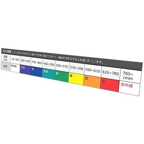 ピュアパルススリム ダイエット セルライトケア ダイエット機器 Pure