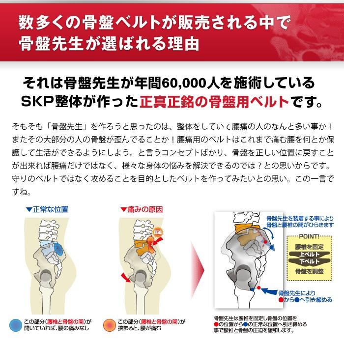 骨盤先生 上下セット ベルト コルセット 男女兼用 骨盤矯正 トルマリン ゲルマニウム 腰痛 ぎっくり腰 むくみ 便秘 冷え性 姿勢 恥骨痛 産後 ダイエット Sos 1911 0013 Gie Re Style 通販 Yahoo ショッピング
