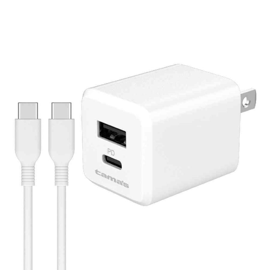 多摩電子工業 PD対応 コンセントチャージャー 20W C+A C to Cケーブル