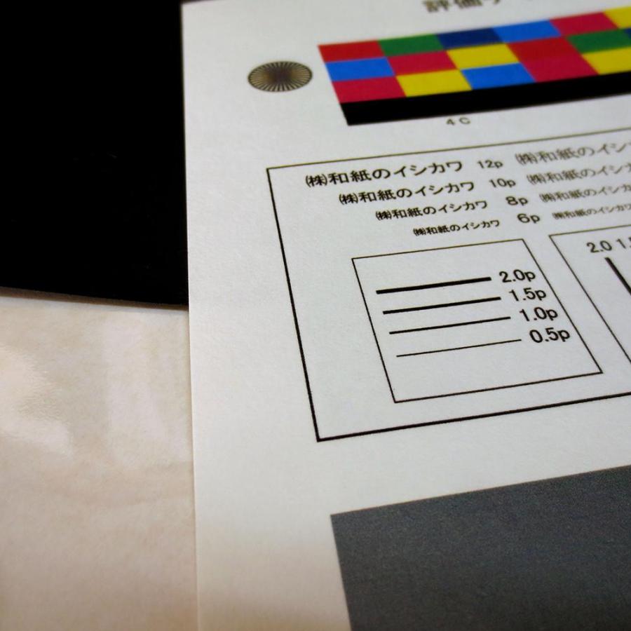 インクジェット和紙 奉書紙タイプ 自然色 1067mm×30m巻 【直送品】 返品・キャンセル・他商品と同時購入は不可_2