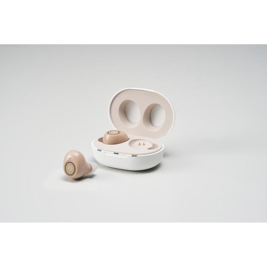 ポイント10倍】楽ちんヒアリング耳穴型集音器 RA-SABG1 【直送品